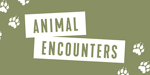 Animal Encounters with Roger Williams Zoo primary image