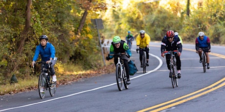 BellRinger Route Preview Training Ride primary image