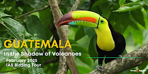 Indiana Audubon 2025 Guatemala Tour primary image