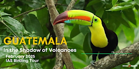 Indiana Audubon 2025 Guatemala Tour