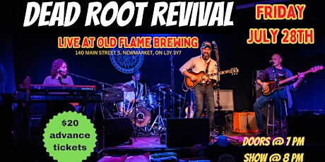 A Rock and Roll Experience: Dead Root Revival Live in Concert