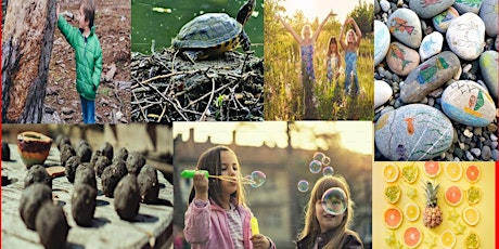 Nature Fun- 1 Day Camps