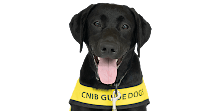 CNIB Guide Dogs Volunteer Information Day (Carleton Place)