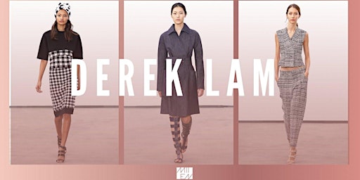 Derek Lam Spring Summer 2014 [Flashback Fashion Show] primary image