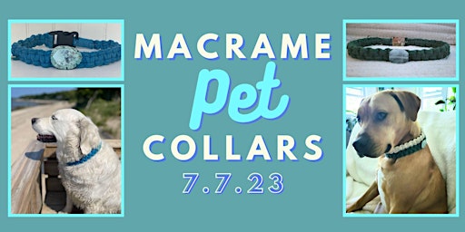 ✨ MACRAME PET COLLAR CRAFTY PARTY ✨ primary image