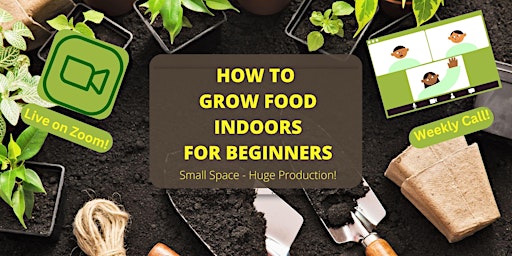 Imagem principal do evento Urban Green Thumb Revolution: Mastering Indoor Food Gardening