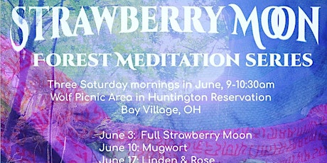 STRAWBERRY MOON Forest Meditation Series
