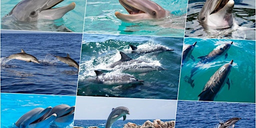 Imagem principal de Day trip to Key West from South Miami with Snorkeling