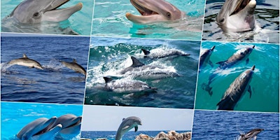 Day trip to Key West from South Miami with Snorkeling primary image