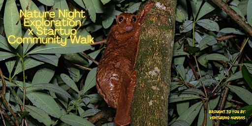 [Nature Night Exploration] Startup Community Walk x Fundraiser primary image