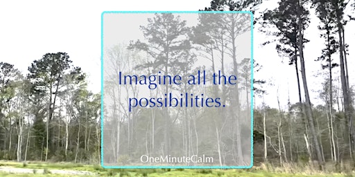 A Calming Journey: Embracing Mindfulness | Online Workshop primary image