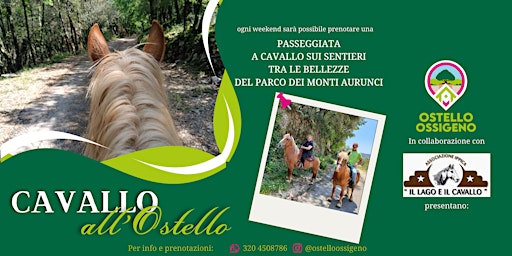 Immagine principale di Passeggiata a Cavallo nel Parco dei Monti Aurunci 
