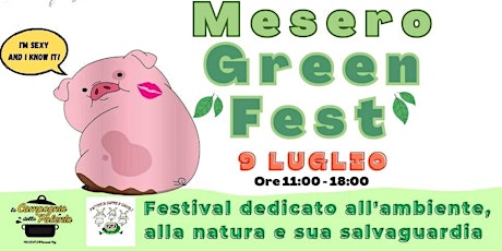 MESERO GREEN FEST