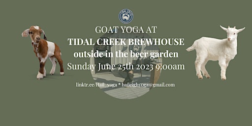 Goat yoga at Tidal Creek Brewhouse primary image