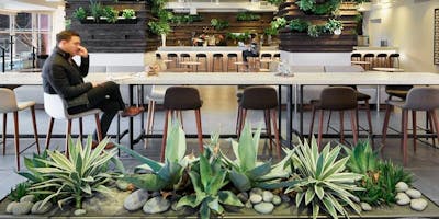 Holistic Holiday Market at The Assemblage