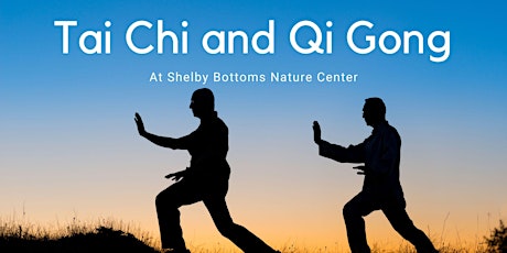 Tai Chi/Qi Gong Experience