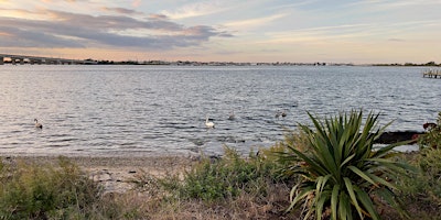 Hauptbild für Saturday Open Paddle (Beach 75th St.) 2024