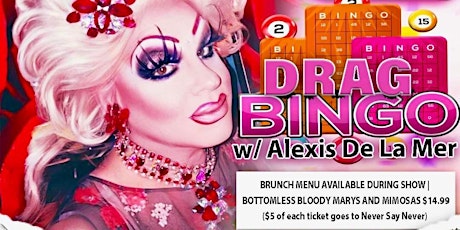 Drag Bingo Brunch/Fundraiser  at Cool Vibes