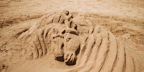 Sand Sculpture Contest (New River Beach)