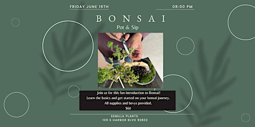 Bonsai Pot & Sip
