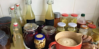 Fermented Foods and Drinks 2024  primärbild