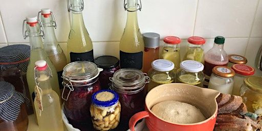 Fermented Foods and Drinks 2024  primärbild