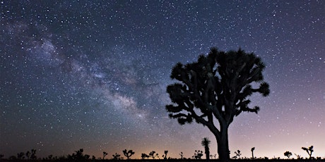 Milky Way Astrophotography and Timelapse Workshop in Joshua Tree