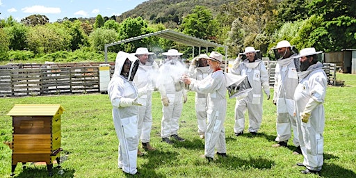 Imagem principal do evento Beekeeping - Flow Hive Fun