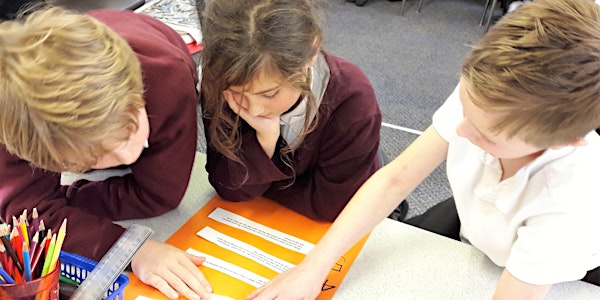 The Theory and Practice of Teaching Thinking
