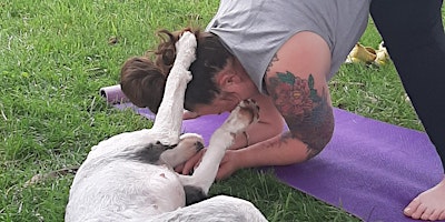 Imagem principal do evento Doga (Dog Yoga)