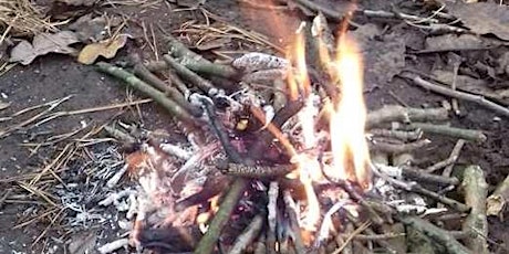 Ampthill Great Park Bushcraft  - Session Fire primary image