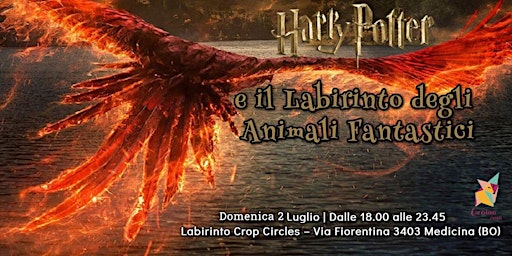 Harry Potter e il Labirinto degli Animali Fantastici – Domenica 2 Luglio