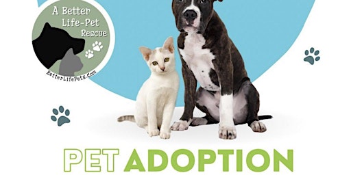 Pet Adoption Day @ Island Wing Rolling Oaks primary image