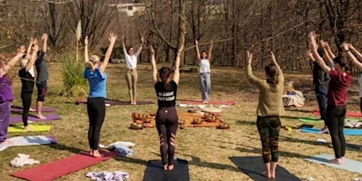 Immagine principale di Sessione di yoga nel bosco, Veronica Pizzol 