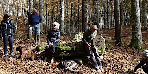 Immagine principale di Bagno di Foresta spirituale, Toio de Savorgnani e Andrea Selena Bernardi 