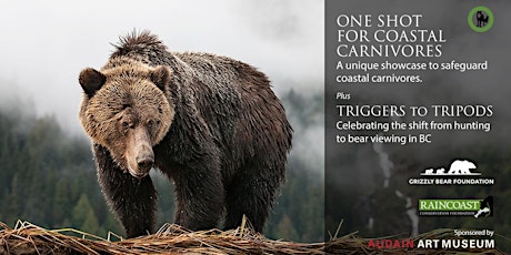 Coastal Carnivores conservation photography exhibit  primärbild