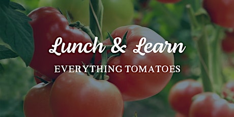 Lunch & Learn: Everything Tomatoes
