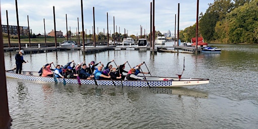 Imagem principal de Intro to Dragon Boat Community Paddle Sessions