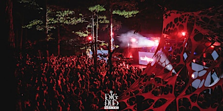 Big Dub Festival 2019 primary image
