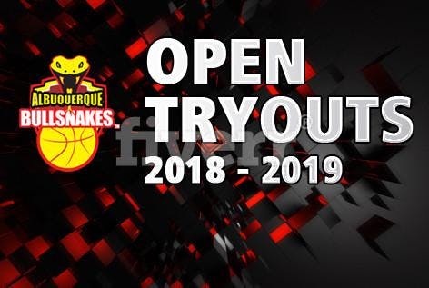 Professional Basketball- Open Tryouts