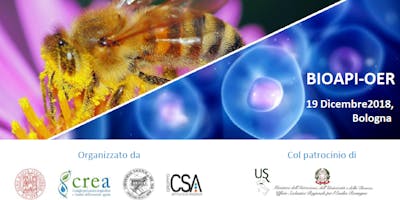 BIOAPI-OER BIOAPI-OER