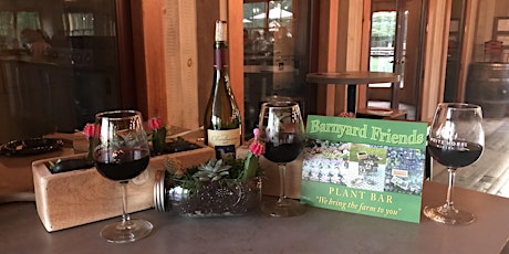 Plant and Sip at White Horse Winery