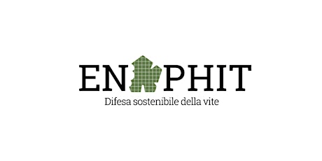 Immagine principale di Enophit, alla scoperta della rivoluzione digitale in agricoltura 