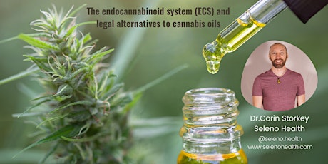 Hauptbild für The endocannabinoid system (ECS) and legal alternatives to cannabis oils