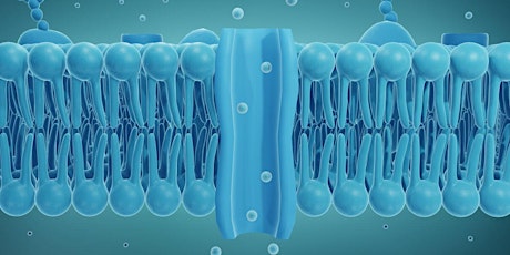 Potenziale di membrana