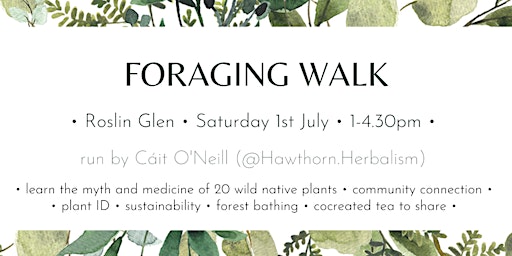 Foraging walk - Edinburgh/Roslin Glen primary image