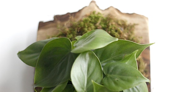 Mounted Tropicals Workshop