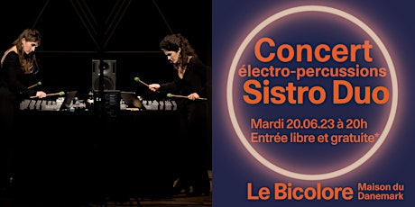 Concert électro-percussions : Sistro Duo au Bicolore