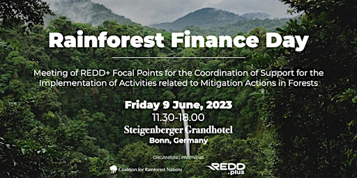 Hauptbild für Rainforest Finance Day - 2023