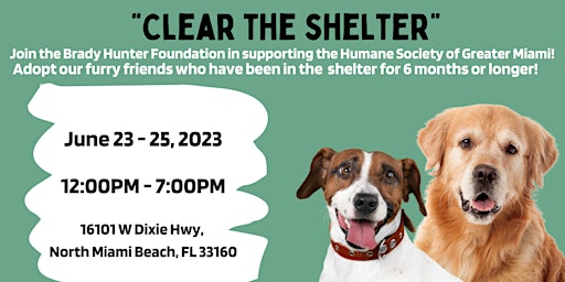 Clear the Shelter by Bottom Line Concepts primary image